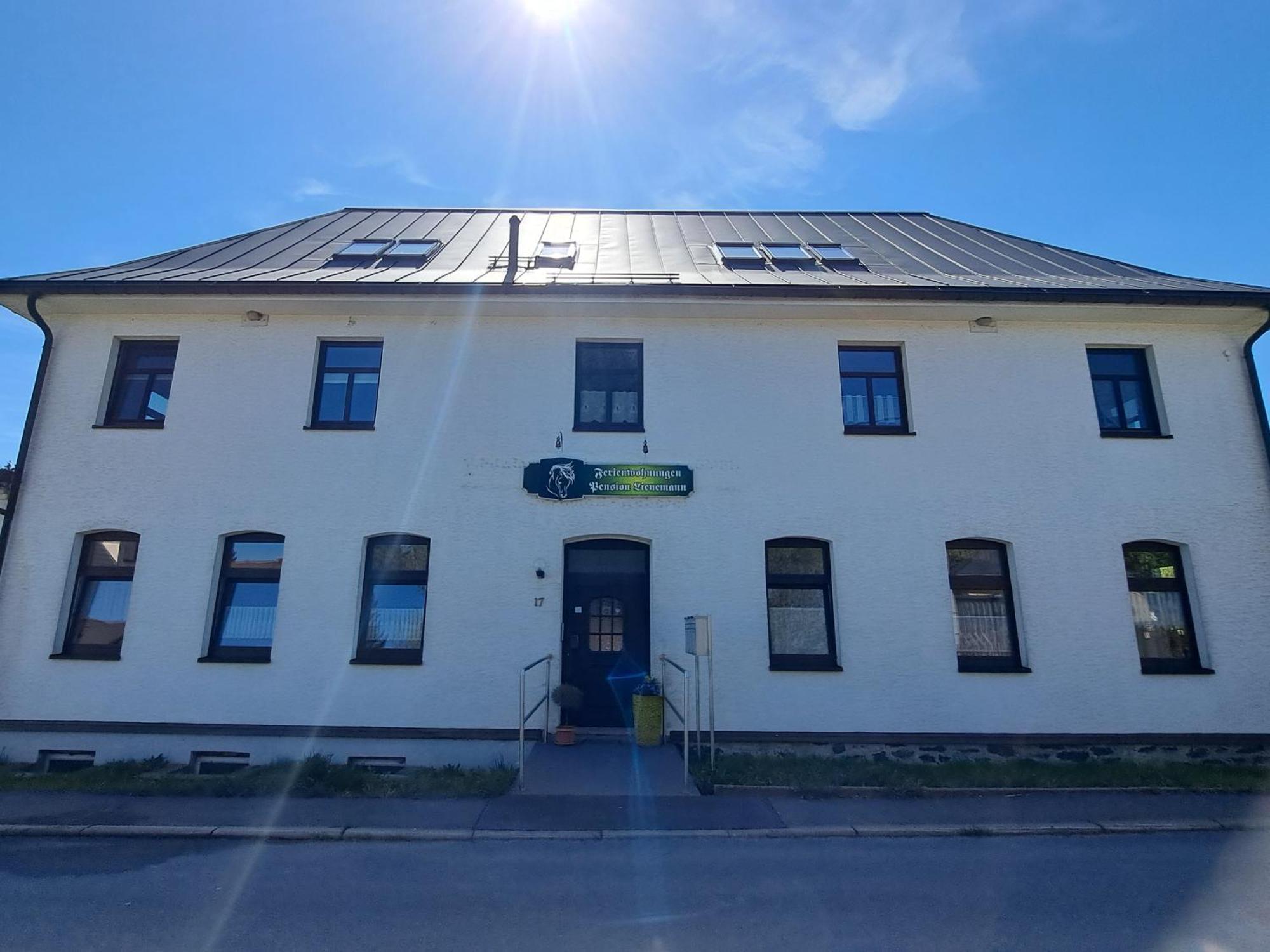 Reiterhof & Pension Lienemann Grünbach Zewnętrze zdjęcie